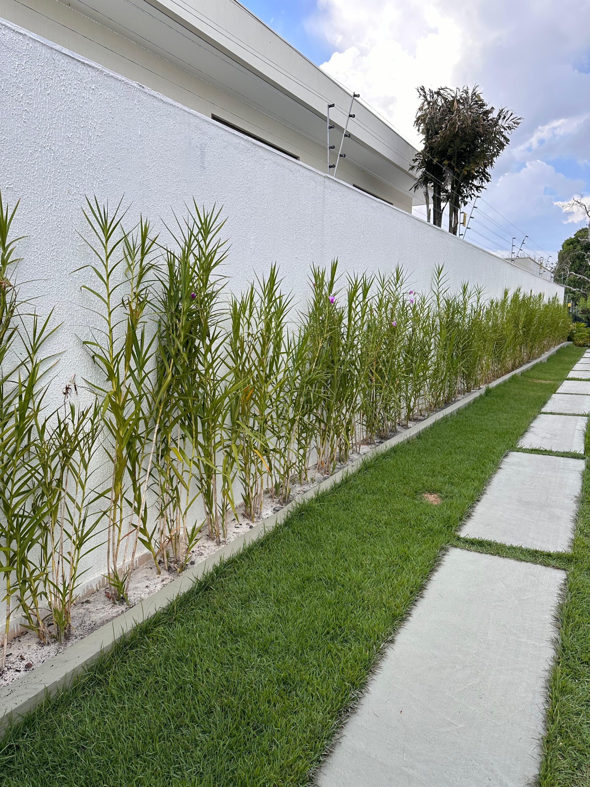 WhatsApp Image 2026-01-12 at 17.18.09