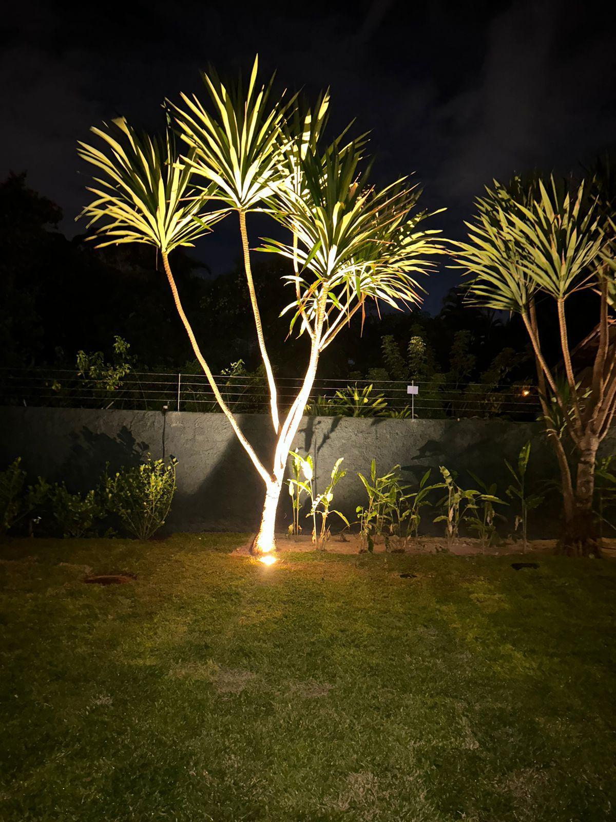 WhatsApp Image 2026-01-12 at 17.18.10 (2)