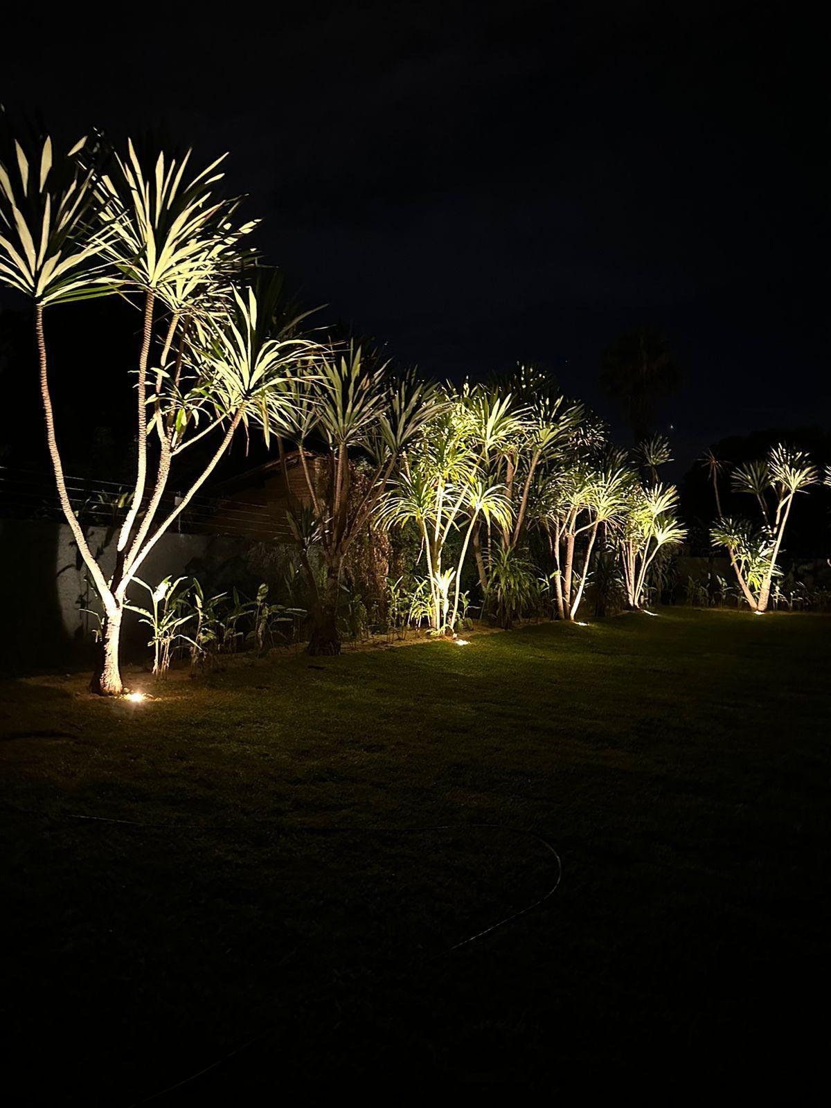 WhatsApp Image 2026-01-12 at 17.18.11