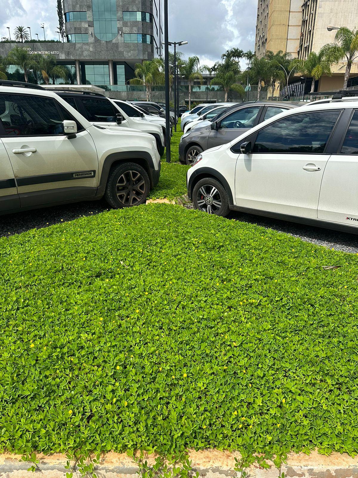 WhatsApp Image 2026-01-12 at 17.18.22