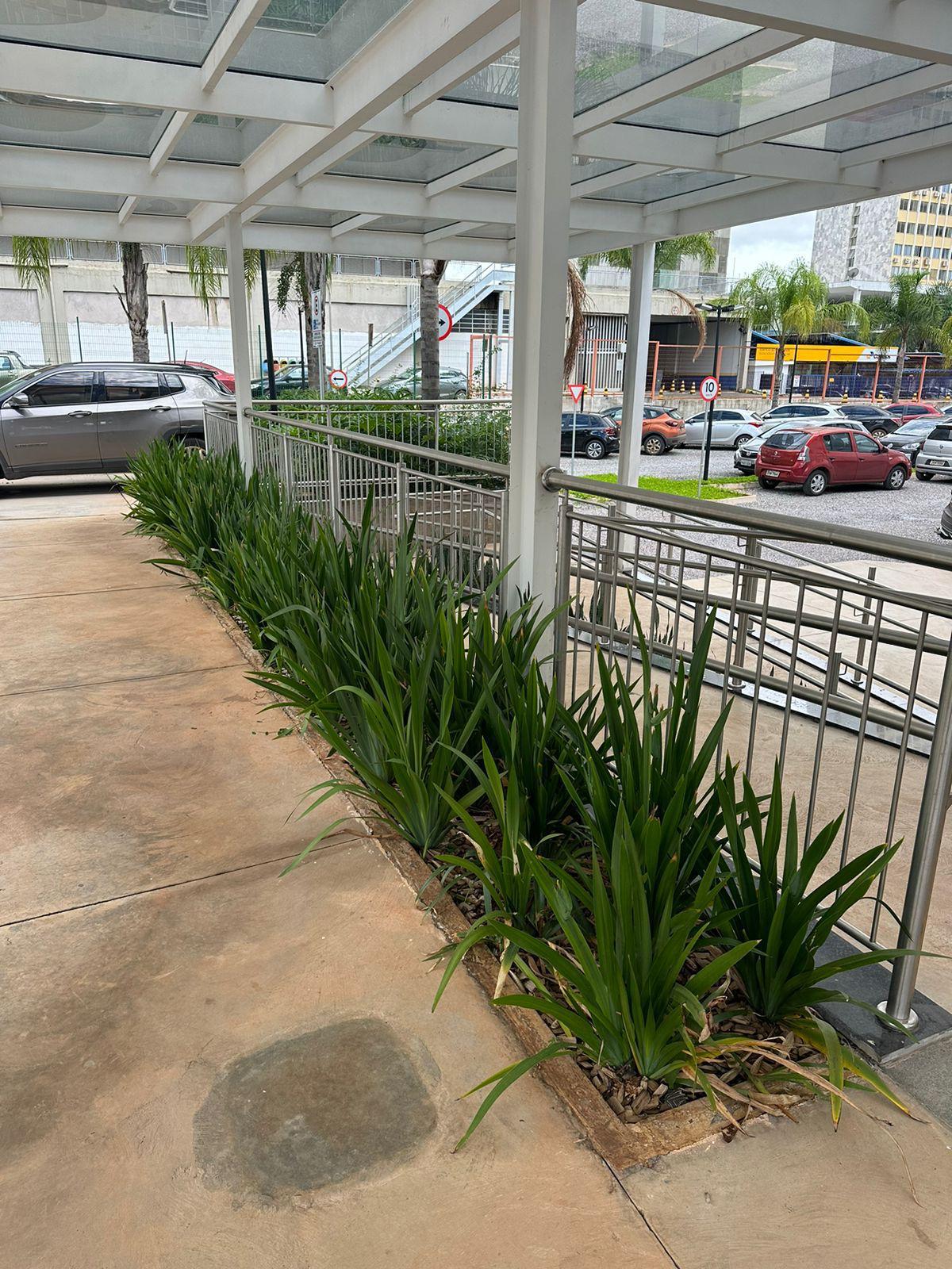 WhatsApp Image 2026-01-12 at 17.18.23